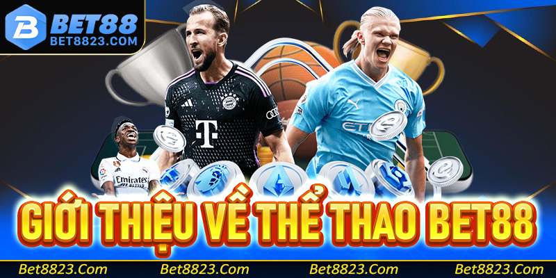 Giới thiệu cẩm nang về sảnh thể thao Bet88