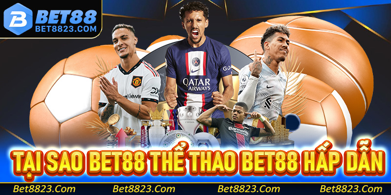 Tại sao sảnh cá cược thể thao Bet88 lại trở lên hấp dẫn như vậy?