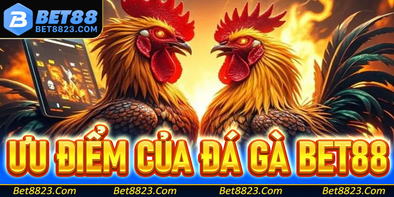 Các thế mạnh giúp sảnh cá cược đá gà Bet88 dẫn đầu bảng xếp hạng Việt Nam