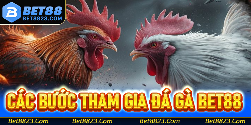 Các bước dễ dàng để tham gia trò chơi cá cược đá gà Bet88 